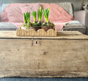 Antique trunk