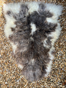 XLarge rare breed sheepskin