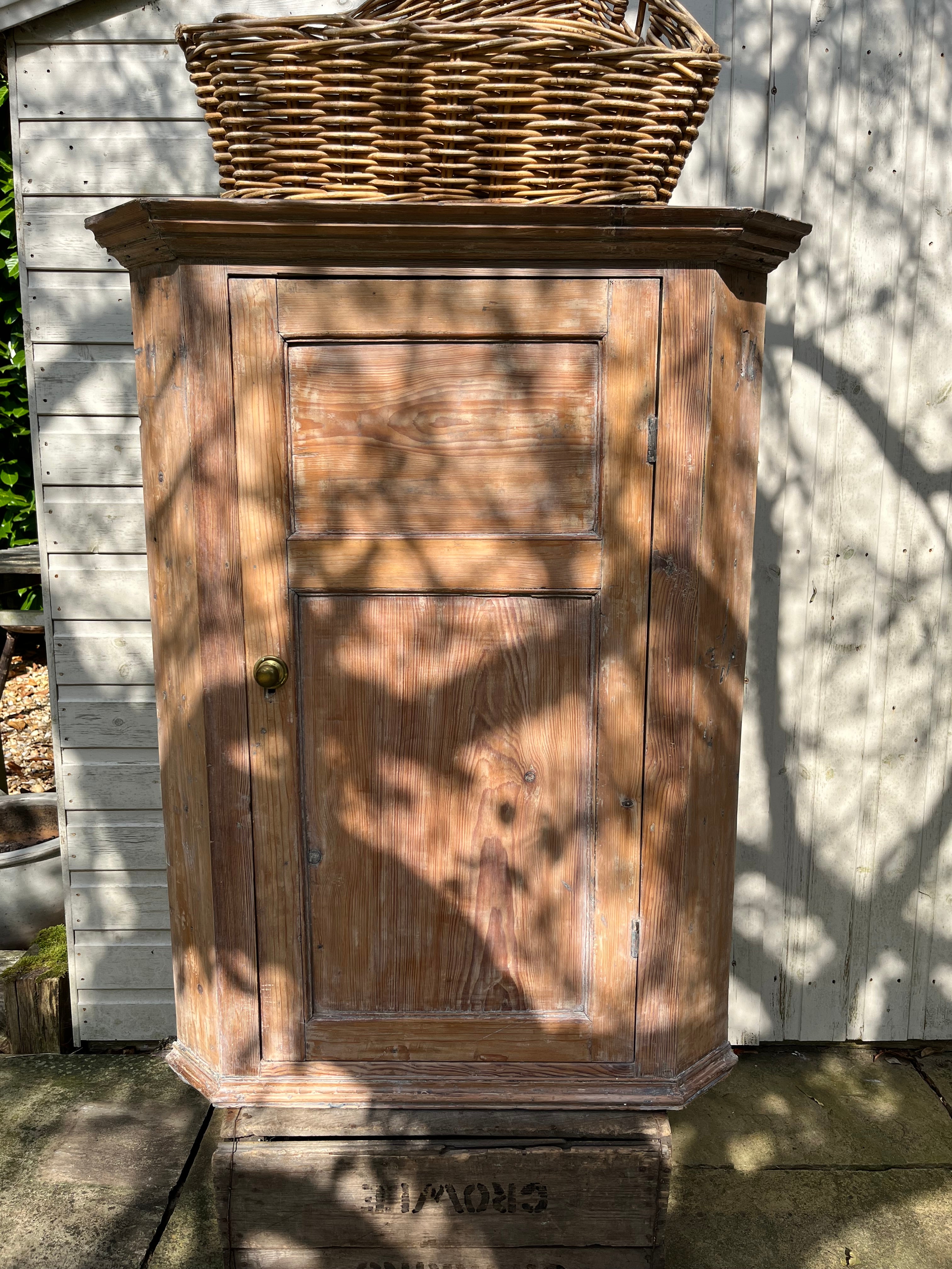 Vintage pine corner cupboard