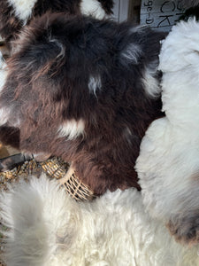 Chocolate rare~breed sheepskin