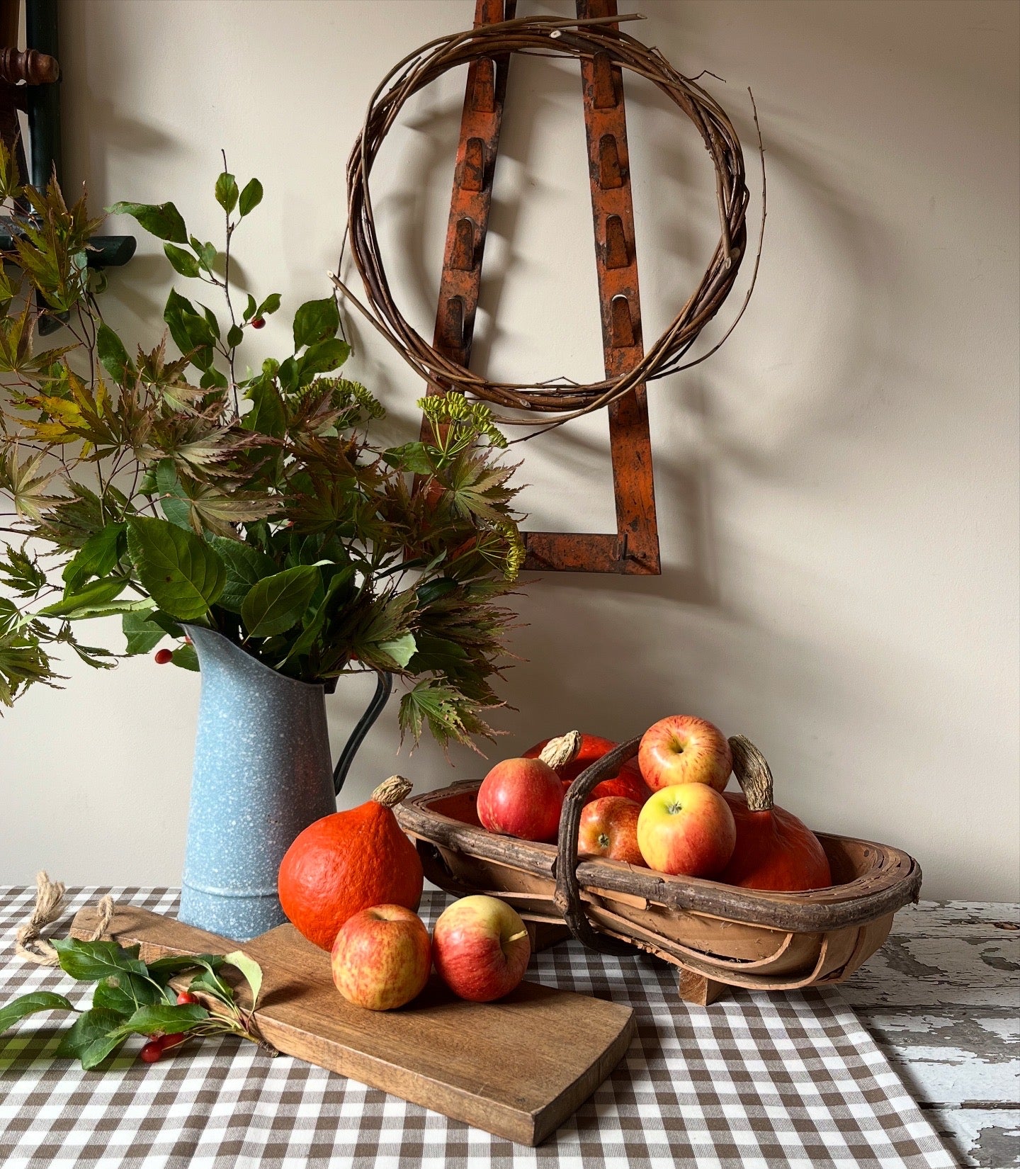 French pan lid holder