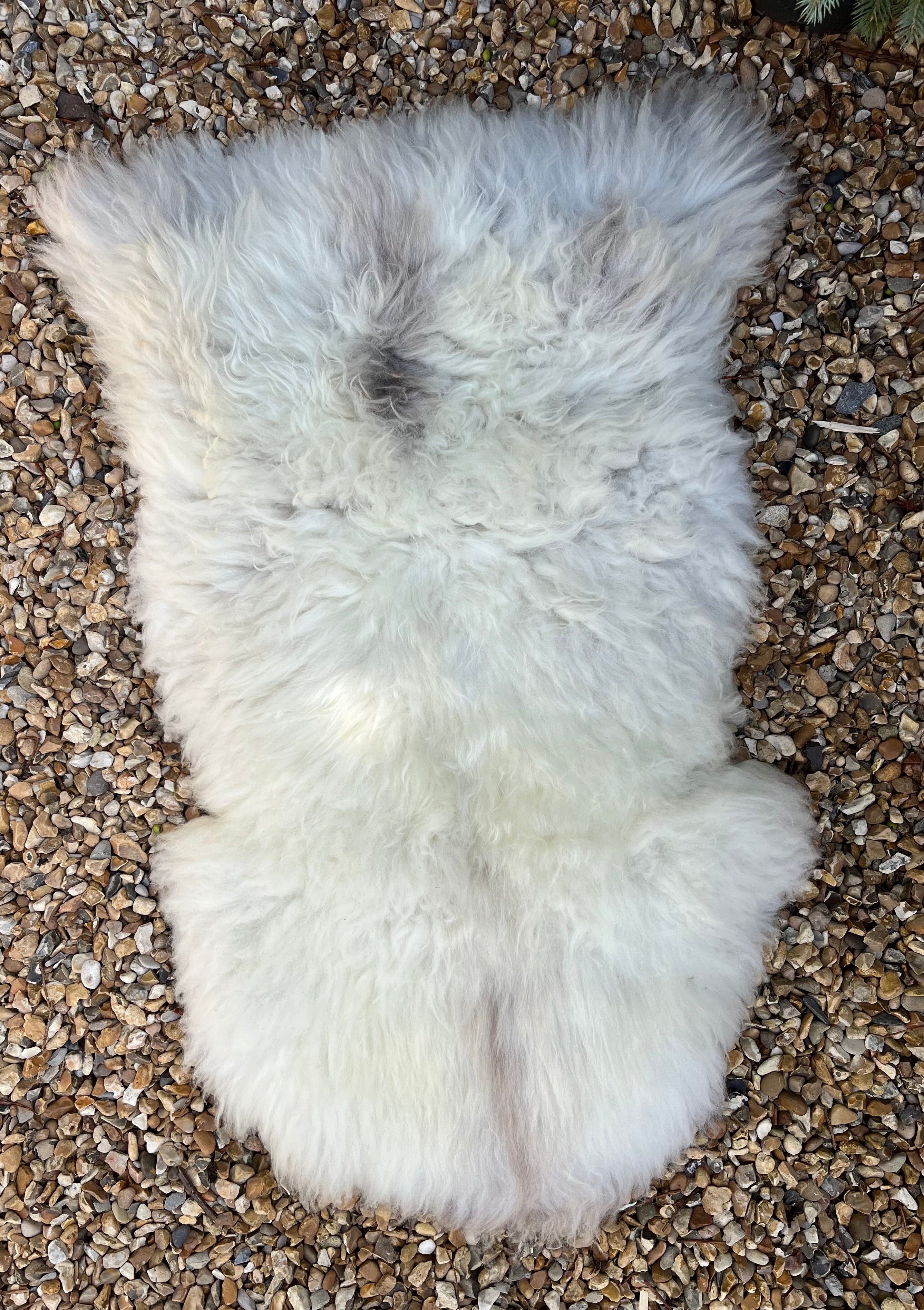 Rare~breed natural sheepskin