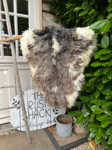 XLarge rare breed sheepskin