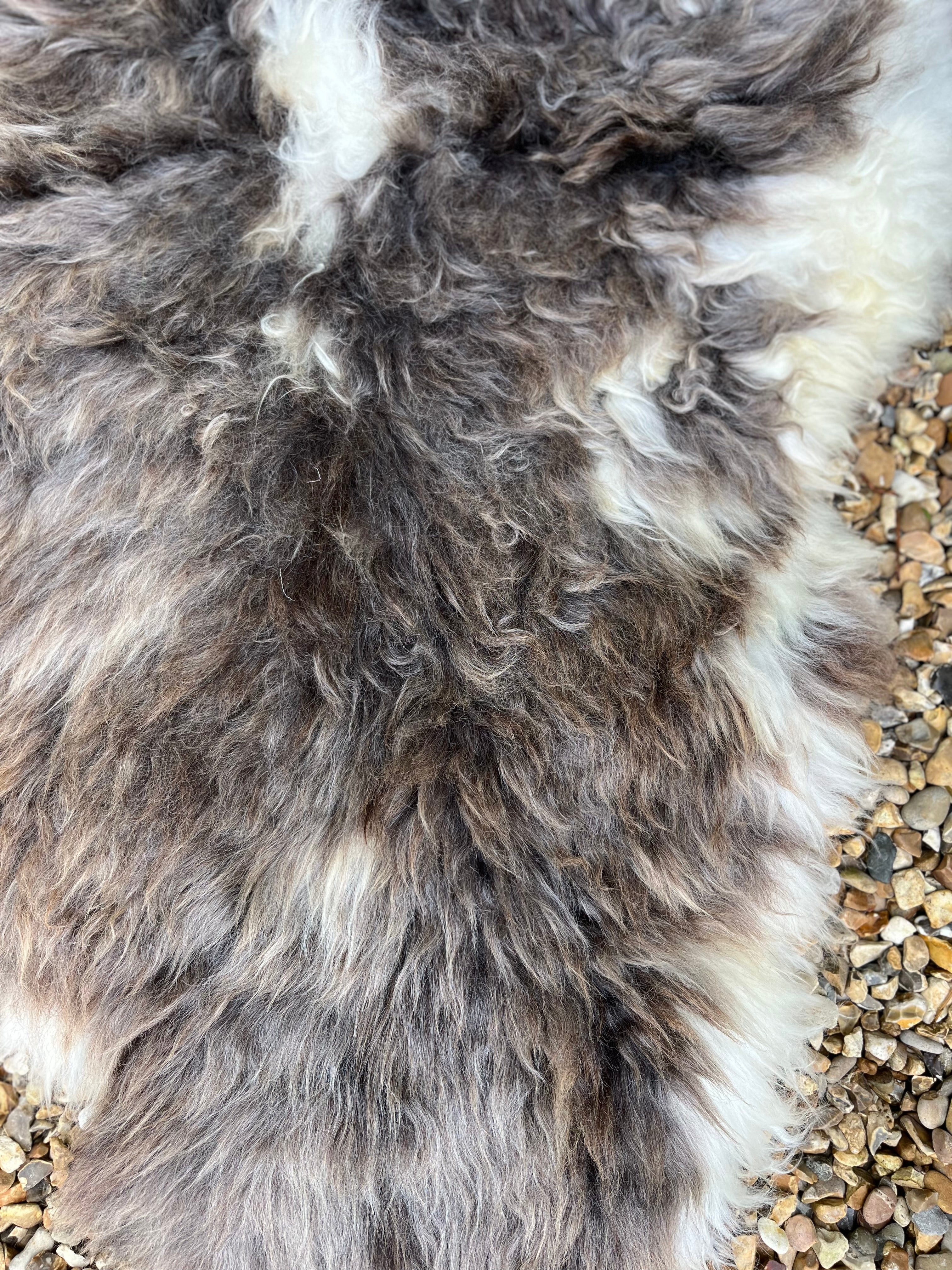 XLarge rare breed sheepskin