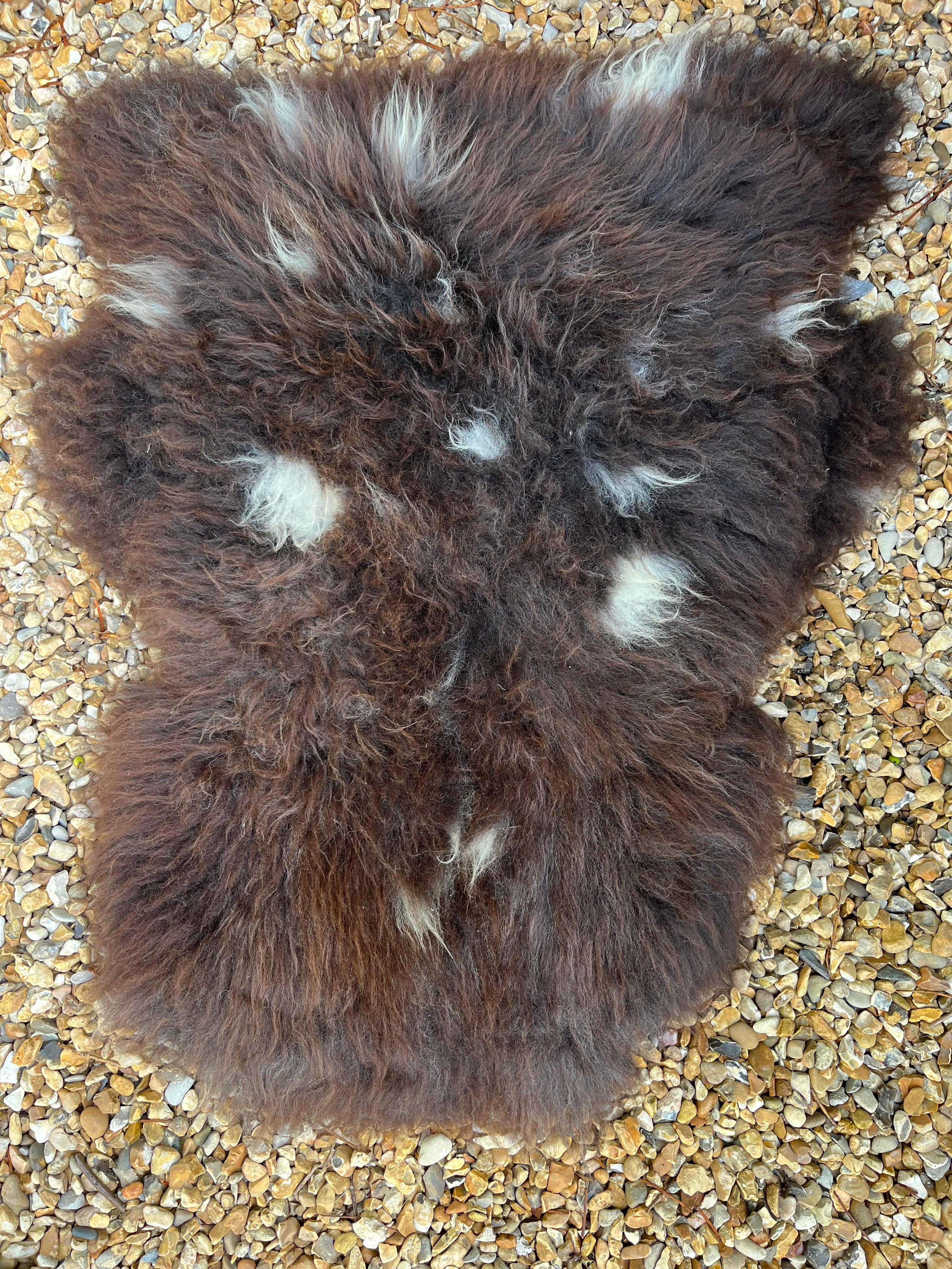 Chocolate rare~breed sheepskin