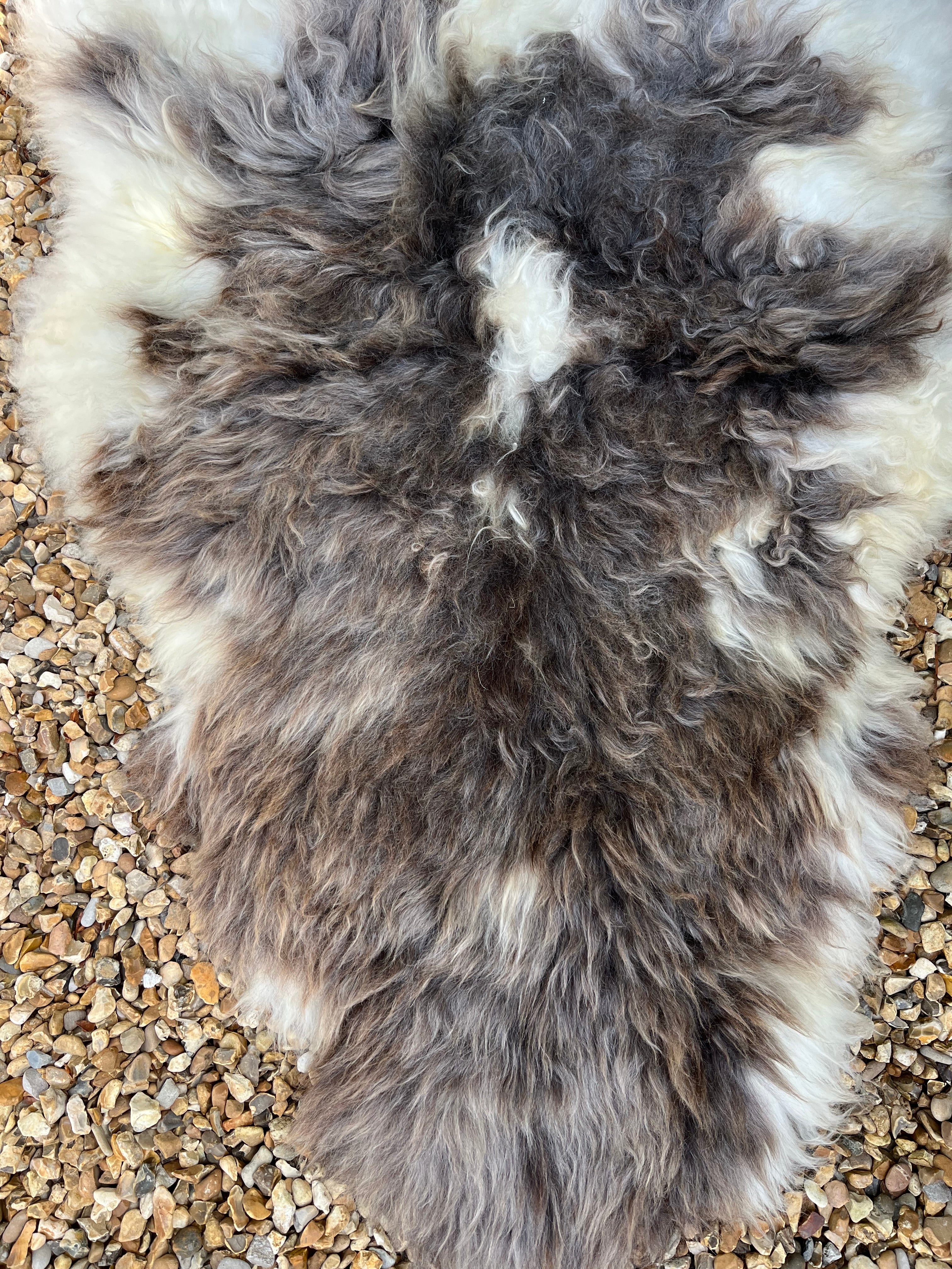 XLarge rare breed sheepskin