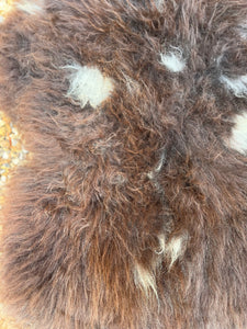 Chocolate rare~breed sheepskin