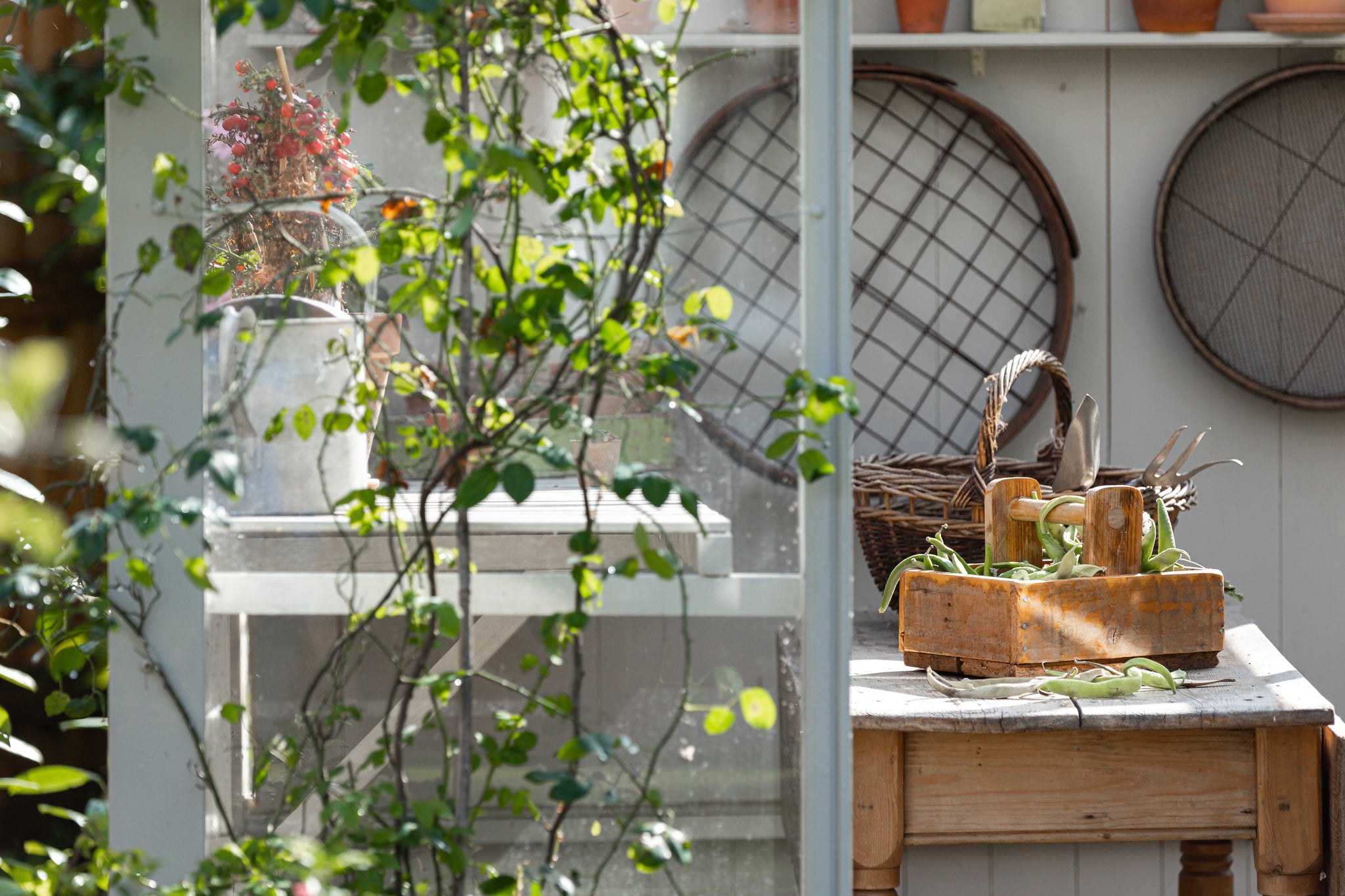The Rustic Shack – The Rustic Shack